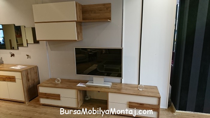 Teleset Julia TV Ünitesi Kurulumu